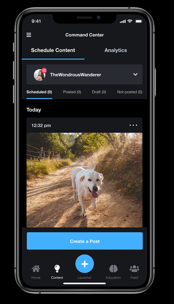 Home feed exploration